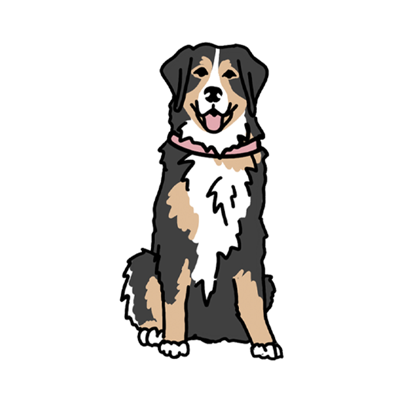 Bernese