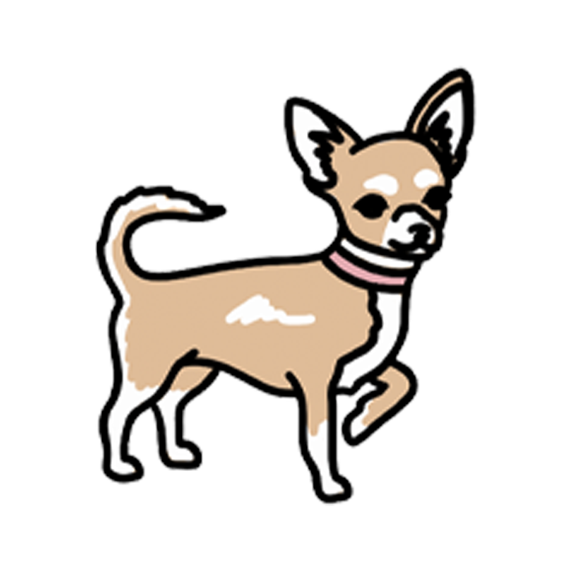 Chihuahua