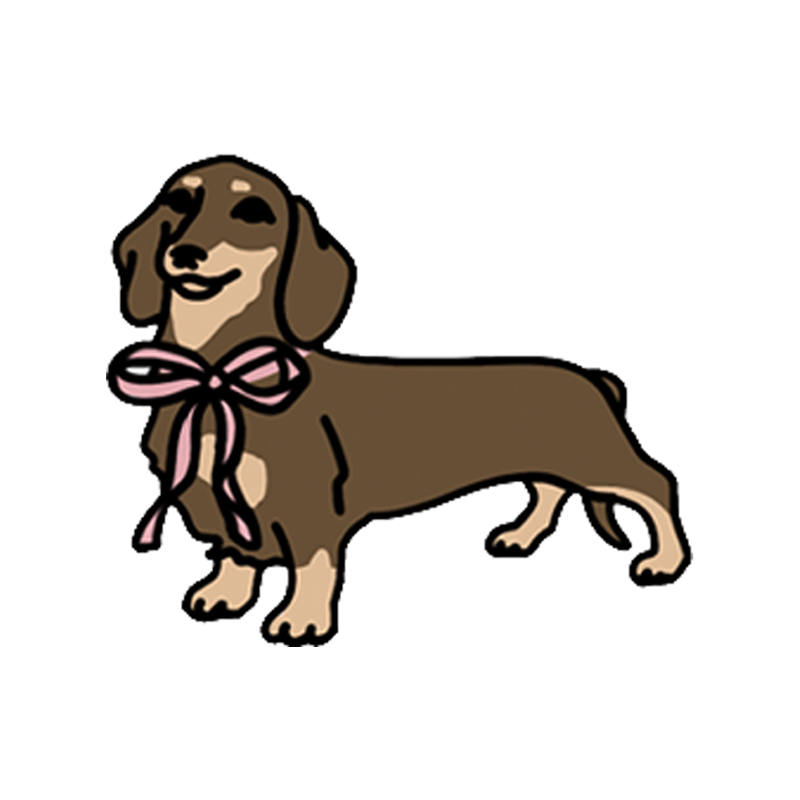 Dachshund