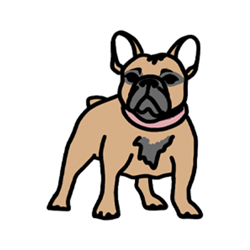 Frenchie
