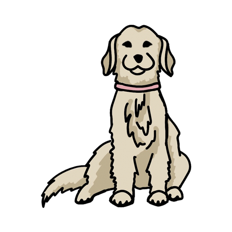 Retriever