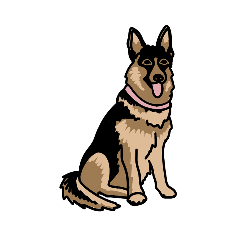 Shepherd